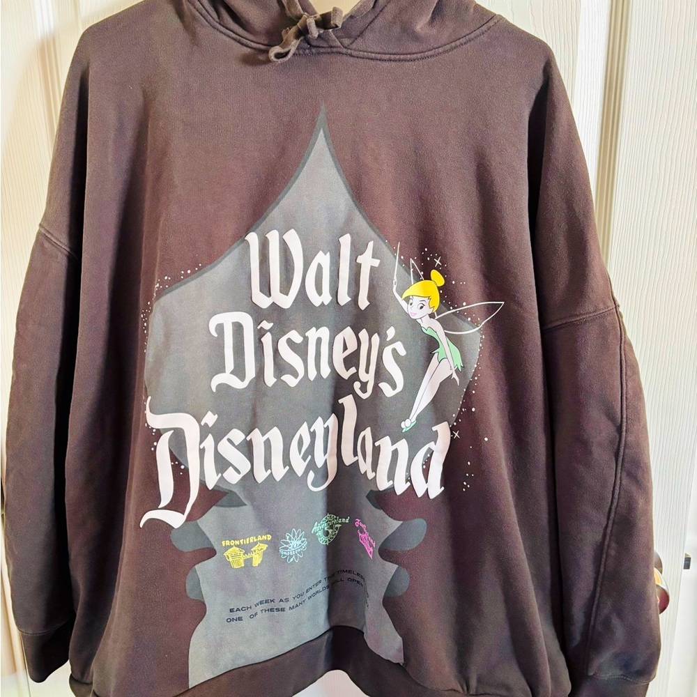 Disneyland 3X Dark Gray Hoodie